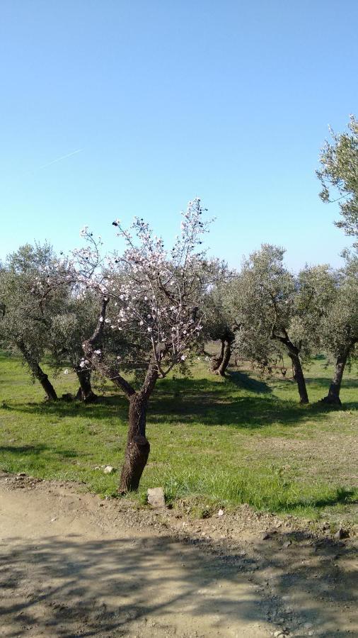 Cal Joanet, Acollidora Caseta A Гратайопс Екстериор снимка